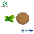 /msite/products/detail/productid/62827202/id/1511203.html